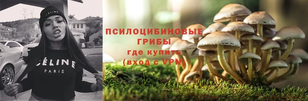 круглые Алексеевка