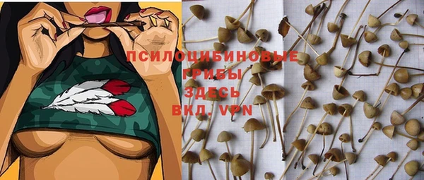 каннабис Няндома