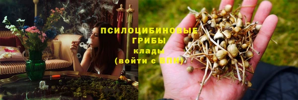 mix Алексин