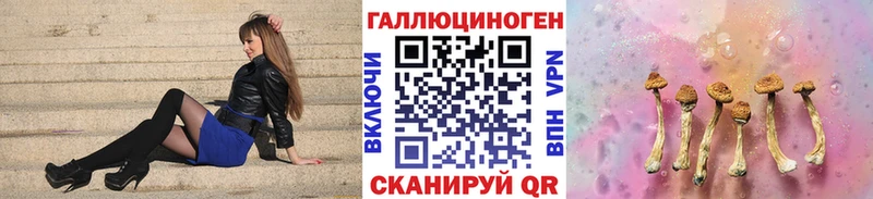 Галлюциногенные грибы Cubensis  Николаевск-на-Амуре 